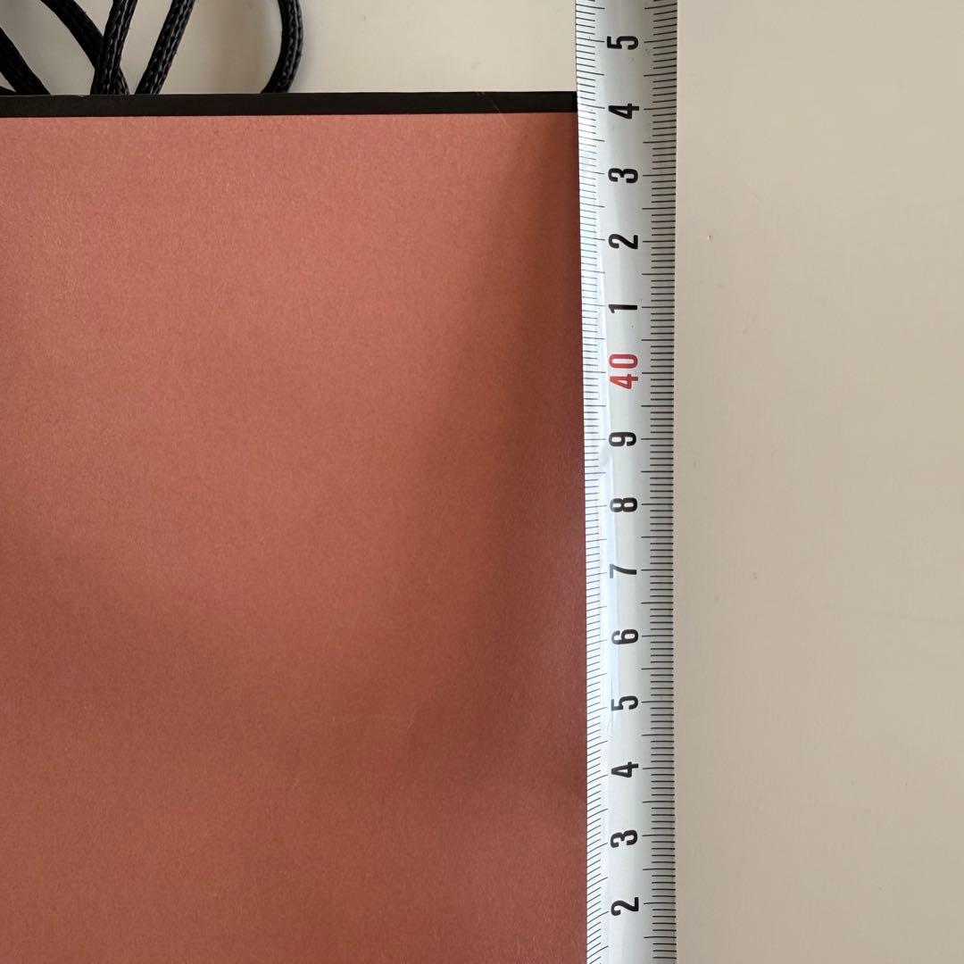 Acne Studios ショッピングバッグ 25枚セット