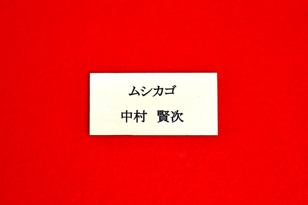 こころの風景コレクション【中村賢次　ムシカゴ】購入金額より60％お値引き！！