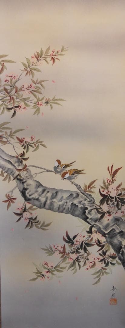 掛け軸 小川香月 『 桜花爛漫 』 絹本 希少 軸装 茶道具 掛軸 美品 です。