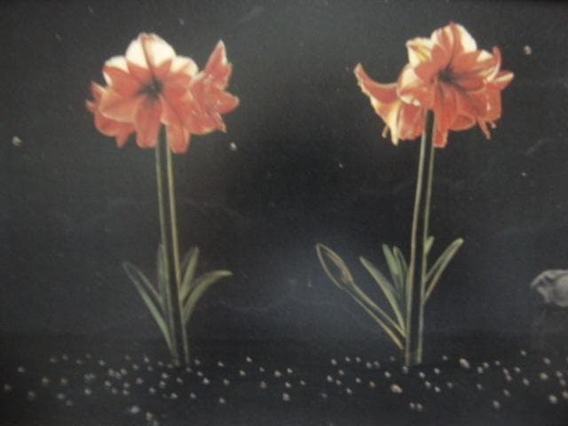 川口起美雄【二人の言葉】希少画集画、状態良好、新品高級額装付