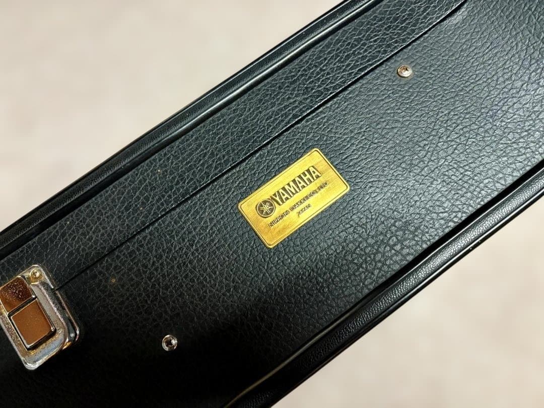 ★第３弾ヤマハ流ハミングバードスタイルFG-500Sがこれだ！ 超激鳴・超美品★