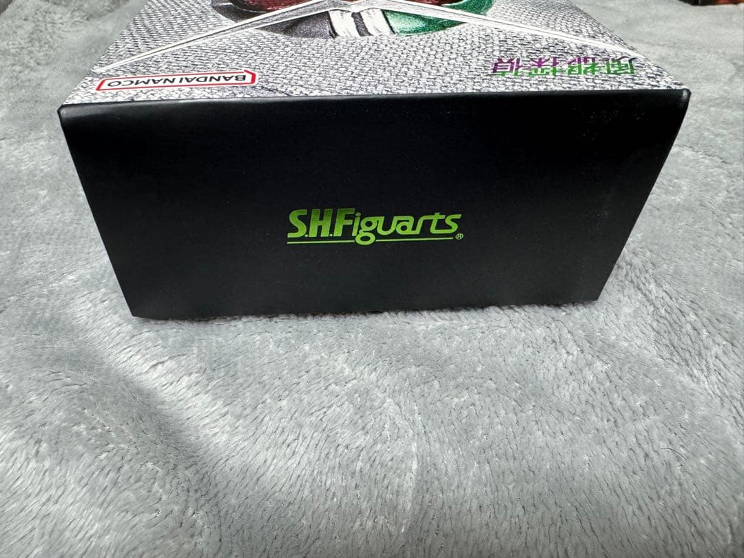 S.H.Figuarts 真骨彫 仮面ライダーW サイクロンジョーカー風都探偵