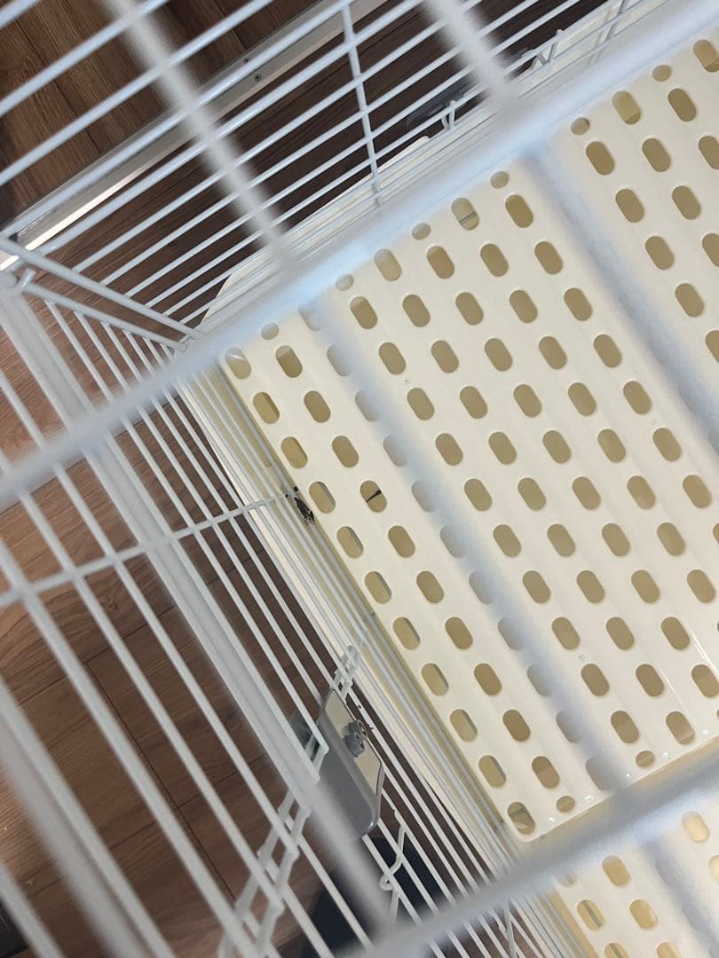 EASY  EVO 80 小動物用ケージ　イージーホームエボ