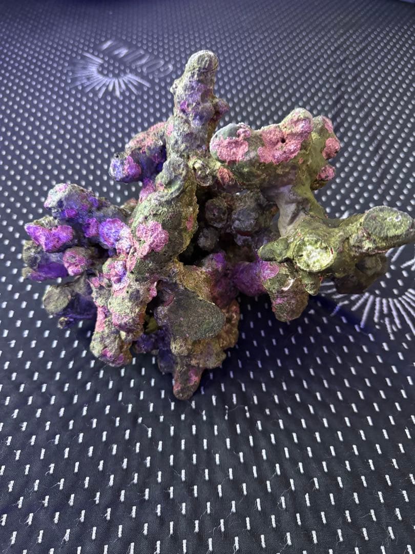 ライブロック　デスロック