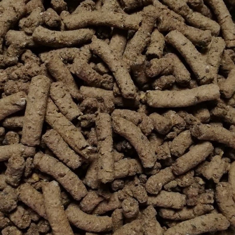 姫ちゃん カムイピリカ6kg