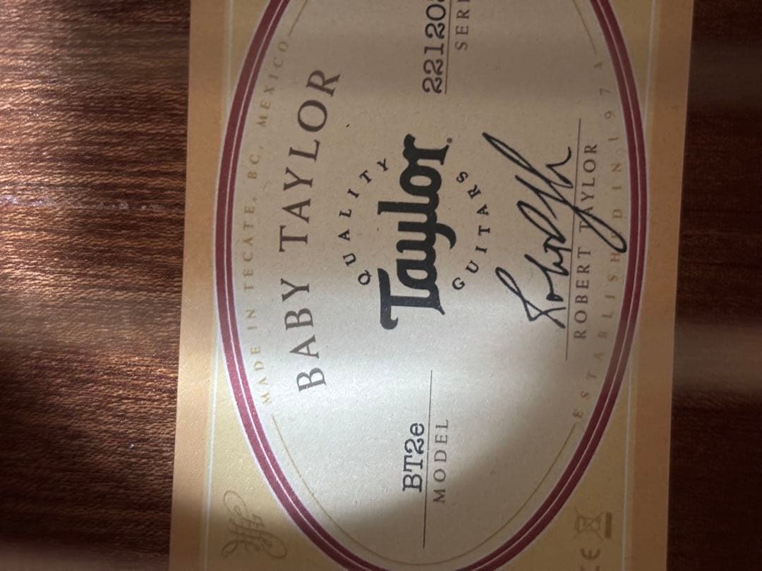 Taylor BT2E エレアコ