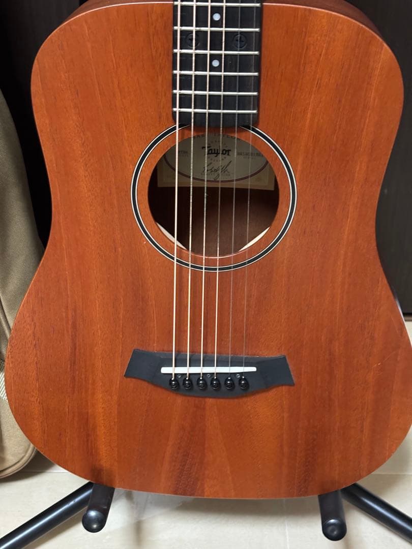 Taylor BT2E エレアコ