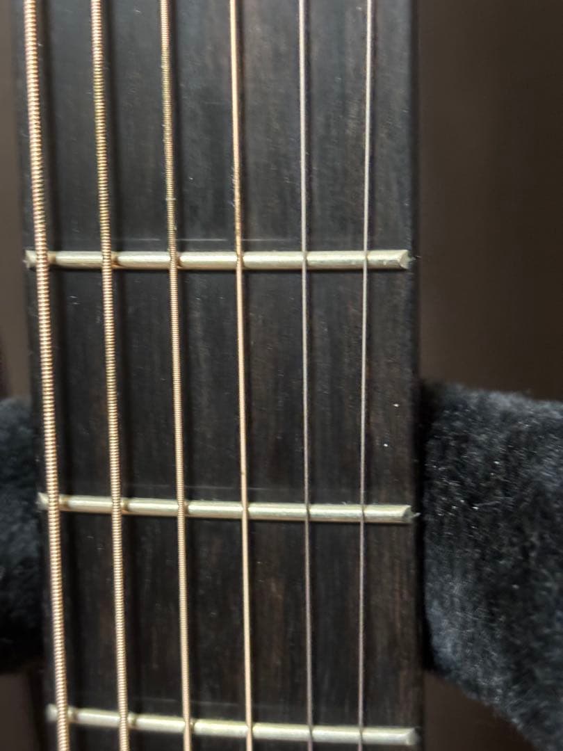 Taylor BT2E エレアコ