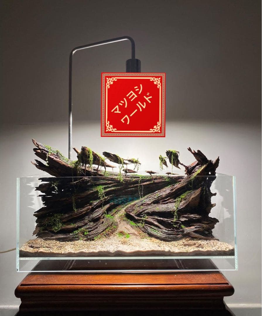【マツヨシワールド】熟練職人手作り流木アクアスケープ 渓谷と浮遊雲群 手入れ不要