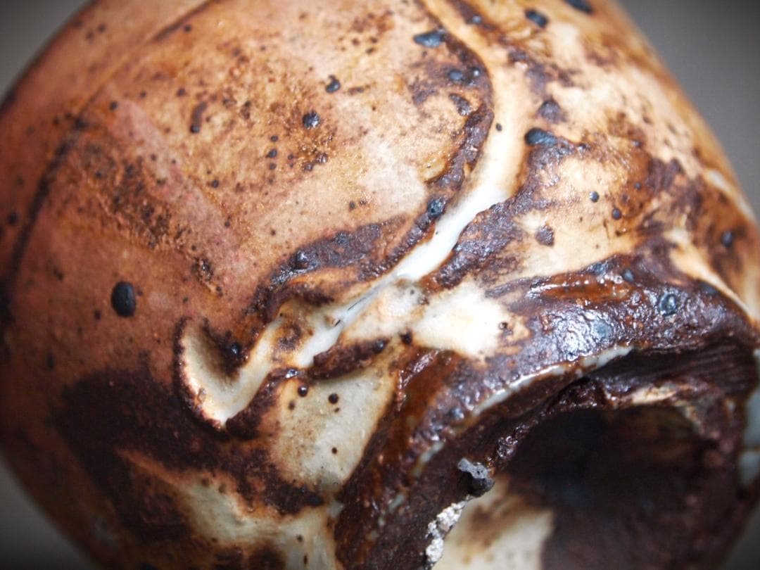 人気作家★水谷渉【師：中川自然坊＆鯉江良二粉引唐津ぐい呑みB