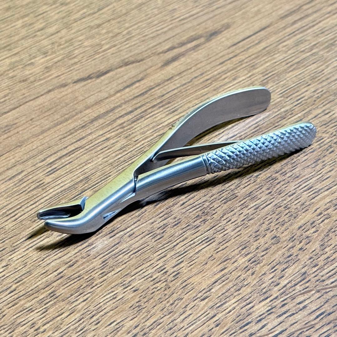 帝塚山ハウンドカム　プロ仕様　歯石取りペンチ　犬猫用　スケラー