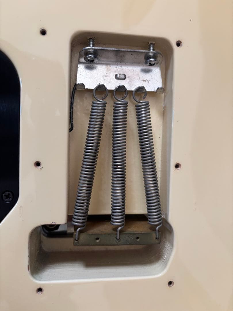 PeaveyWolfgang Special 、ハードケース付き