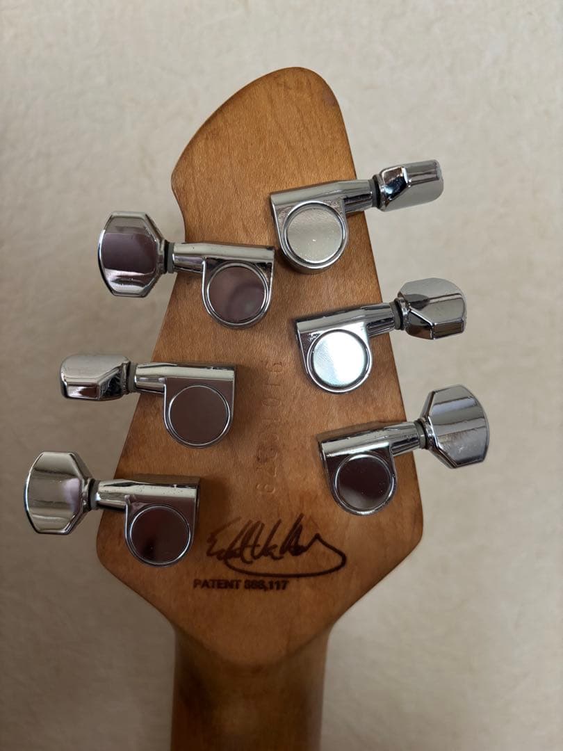 PeaveyWolfgang Special 、ハードケース付き