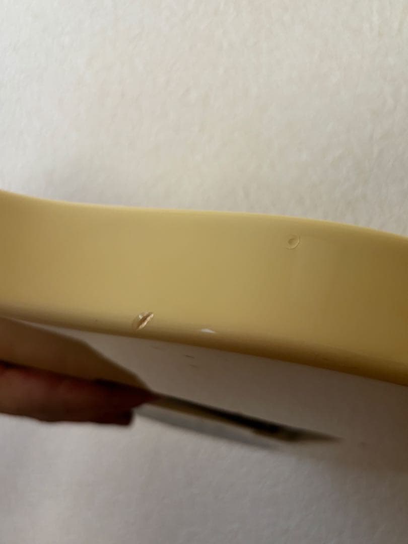 PeaveyWolfgang Special 、ハードケース付き