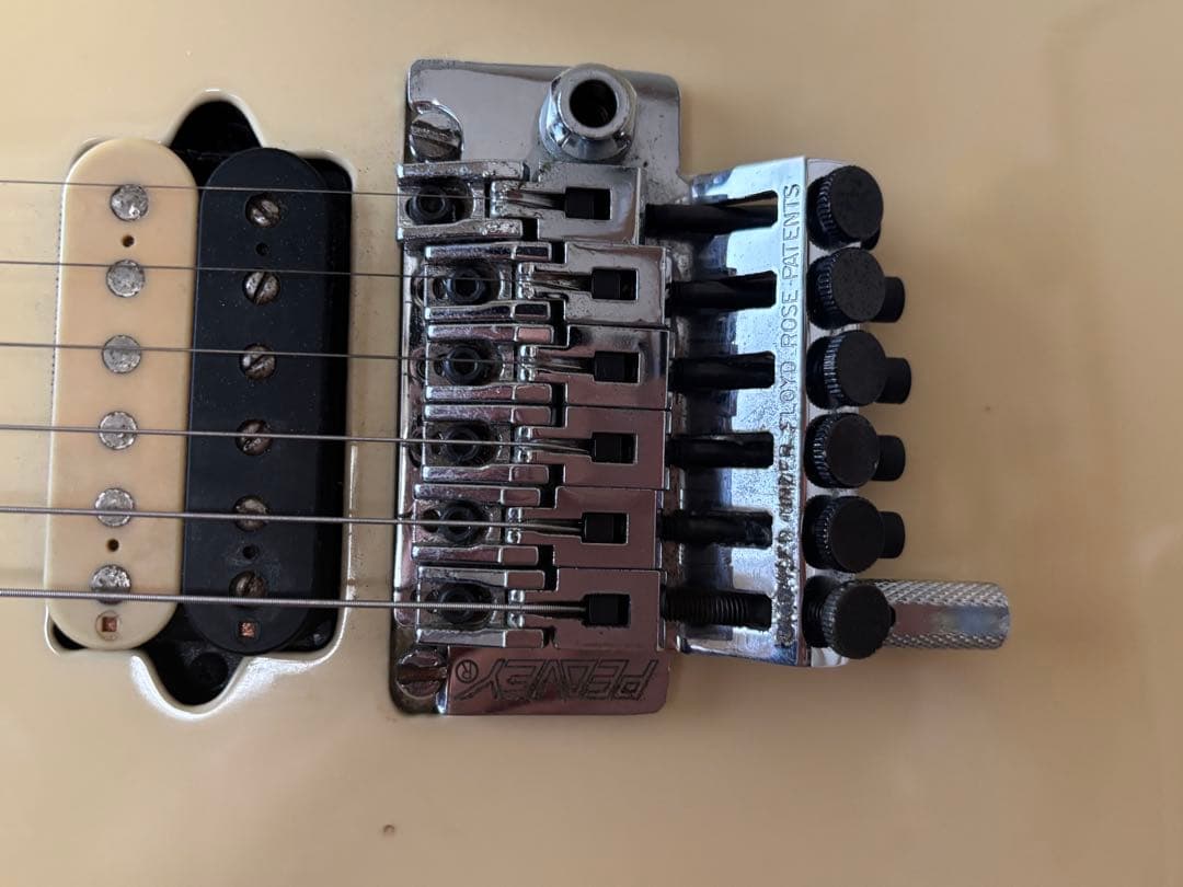 PeaveyWolfgang Special 、ハードケース付き