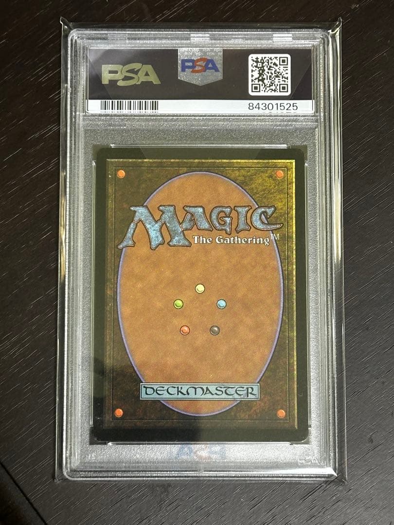 MTG Guru Land  グルランド 島 PSA9