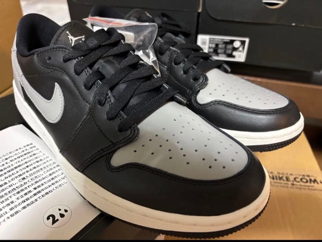 エアジョーダン 1 LOW G