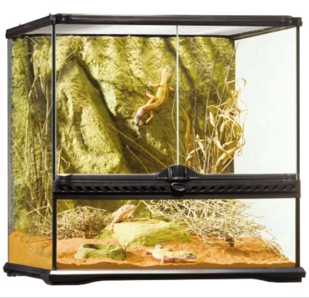 GEX エキゾテラ グラステラリウム 4545 PT2605