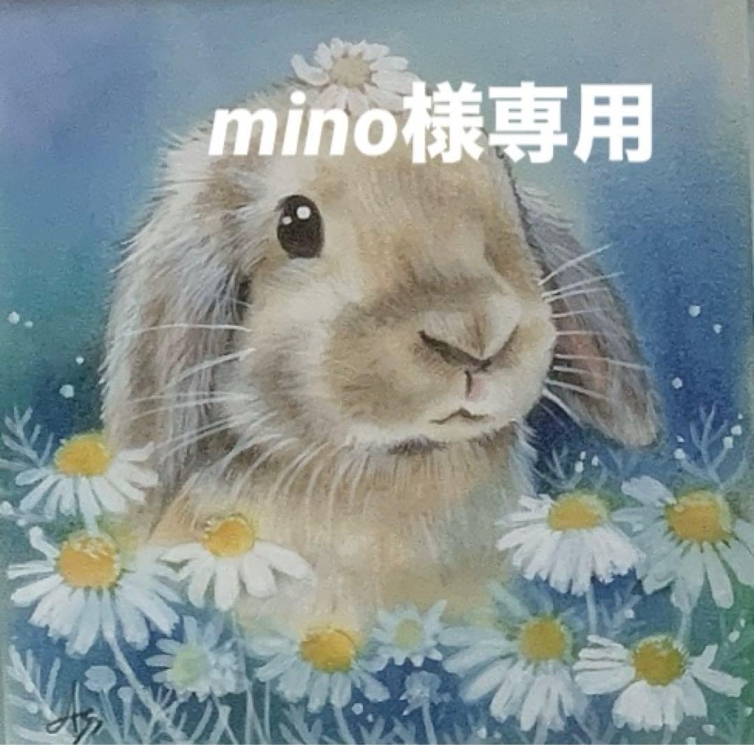 《mino》⭐️バニセレプロヘアボールコントロール＋試食品プレゼント他追加有