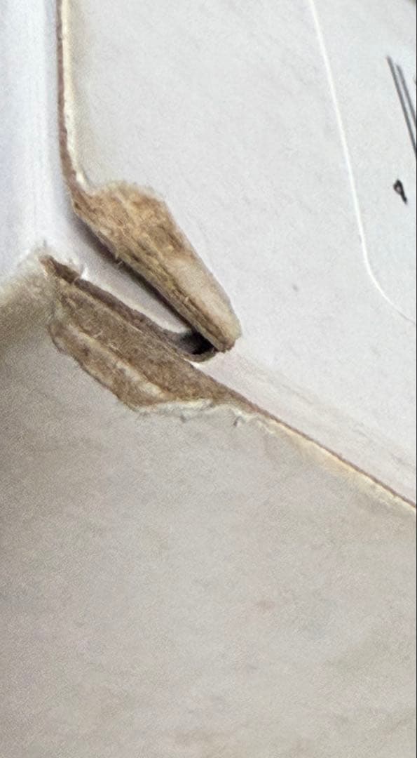 限定品　ペリカン万年筆　スーべレーン　M805 EF ブルーデューン