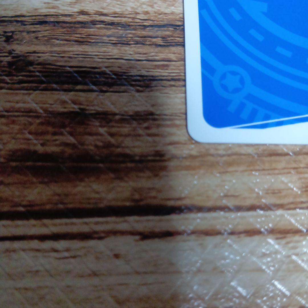 ブルアカ reバース 小鳥遊ホシノ（水着）サイン入り