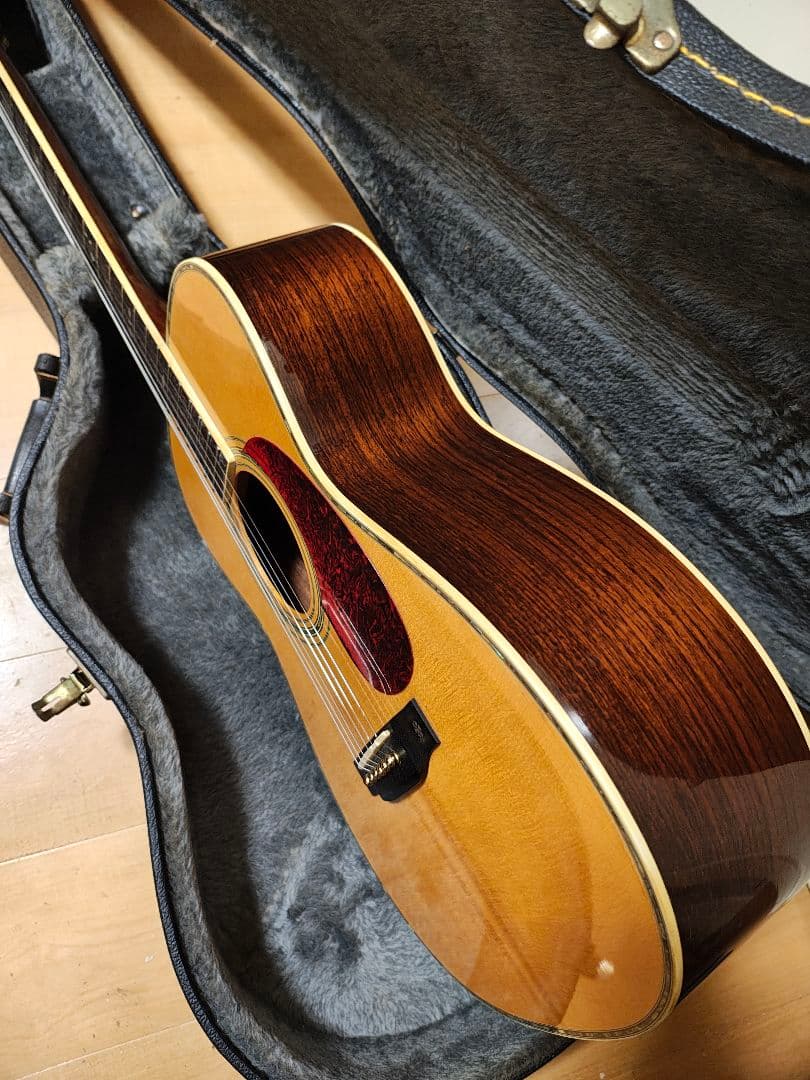 オール単板/Aria AF60/ハードケース