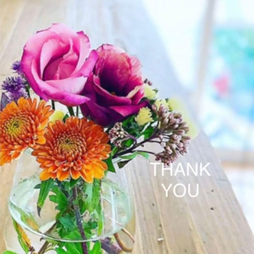 【ALMADO 】チェルラーホワイトブライトセラム◇30mL