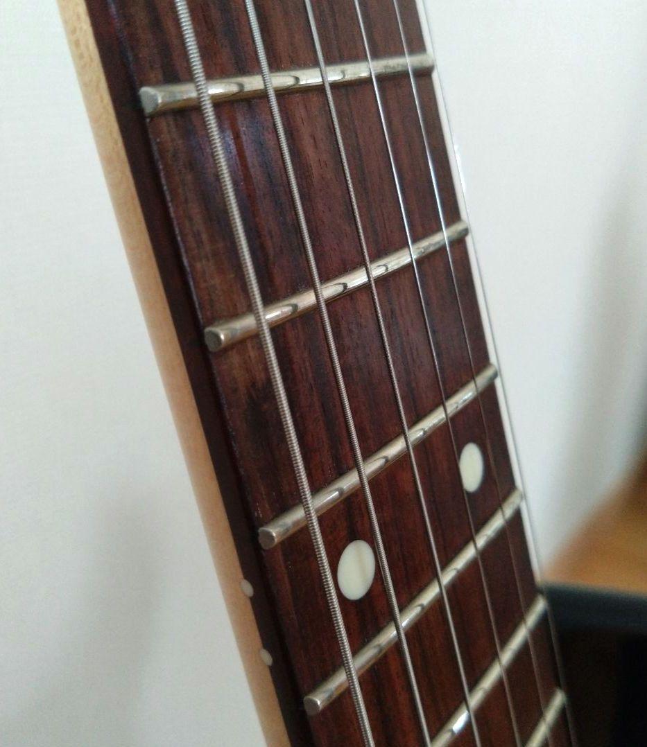 ギター FUJIGEN Boundary Iliad BIL2-G-HH BLACK