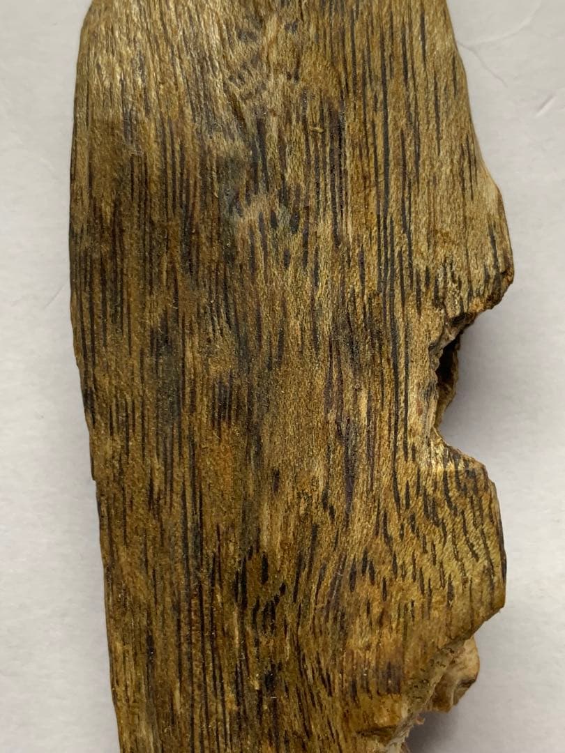 極上緑油伽羅 沈香原木 香木 重さ:37.3g (高ランク本物証明)