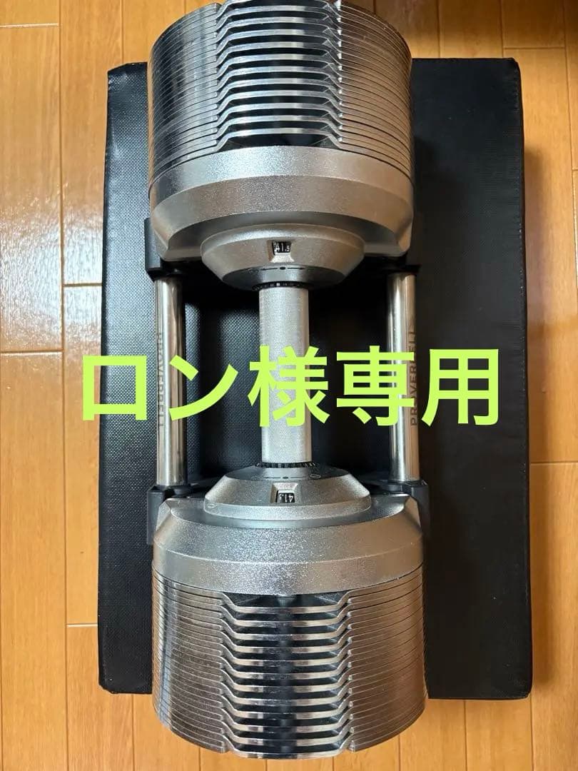 PROVERBELL プロバーベル　41.5kg シルバー　1個