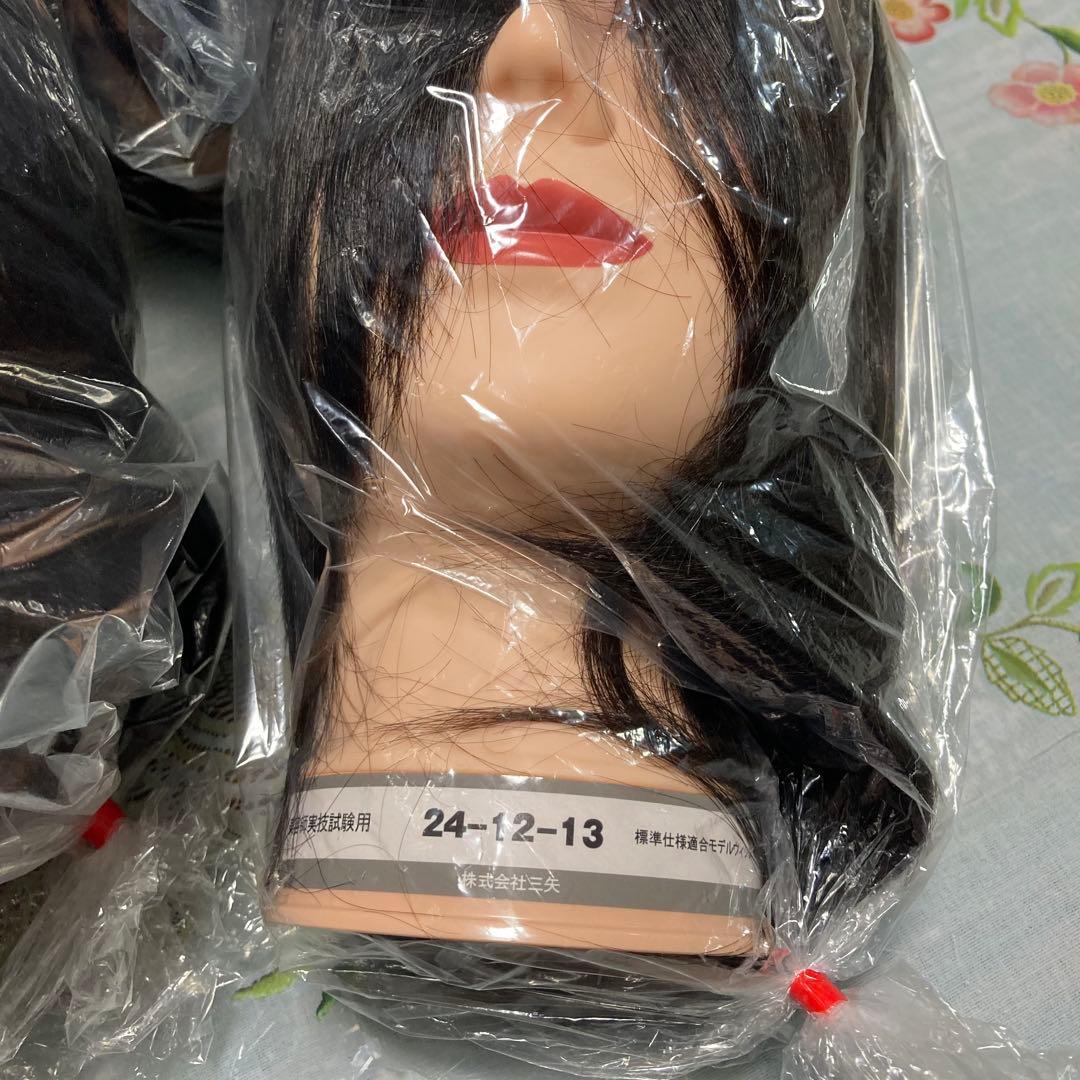 minami　美容師 国家試験用 カットウィッグ 4体