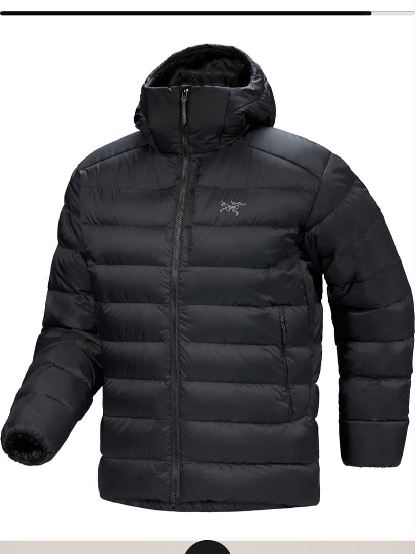 アークテリクス ソリウムフーディー