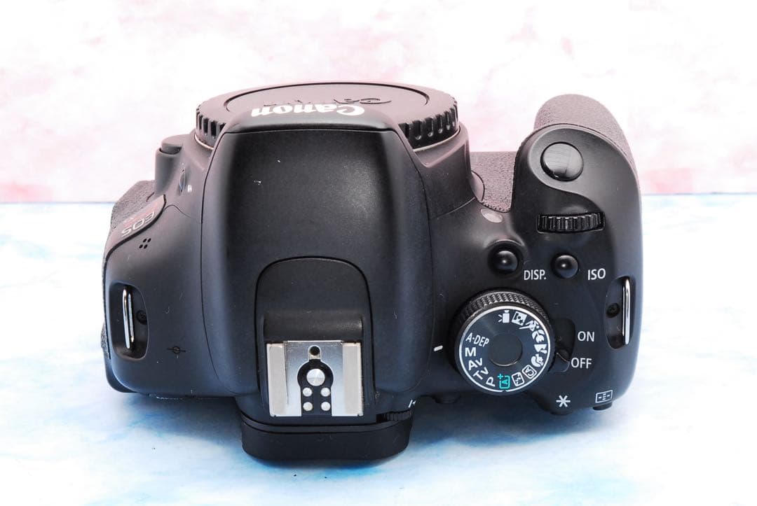 キャノン Kiss X5☆一眼レフカメラ☆カメラデビュー☆ブレずに簡単撮影