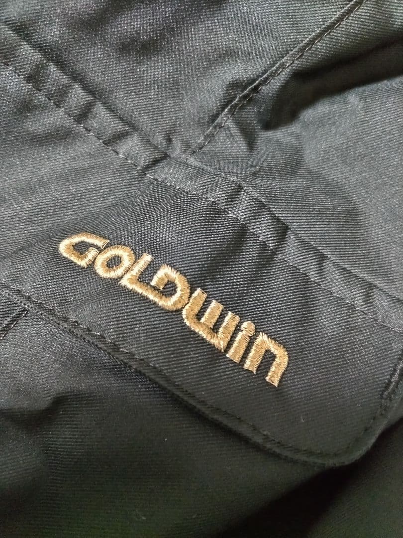 GOLDWIN スキーウェア　スノーボードウェア 女性用 Mサイズゴールドウィン