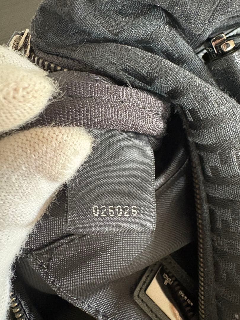 FENDI ズッキーノ柄　ハンドバッグ/ボストンバッグ