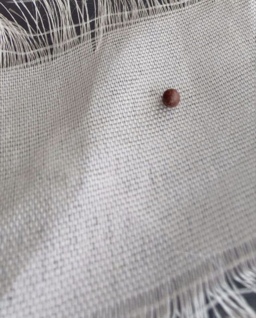 【本日限定価格】本物のシンギングボウルが欲しい方に　薄型　手打ち　チベット　密教