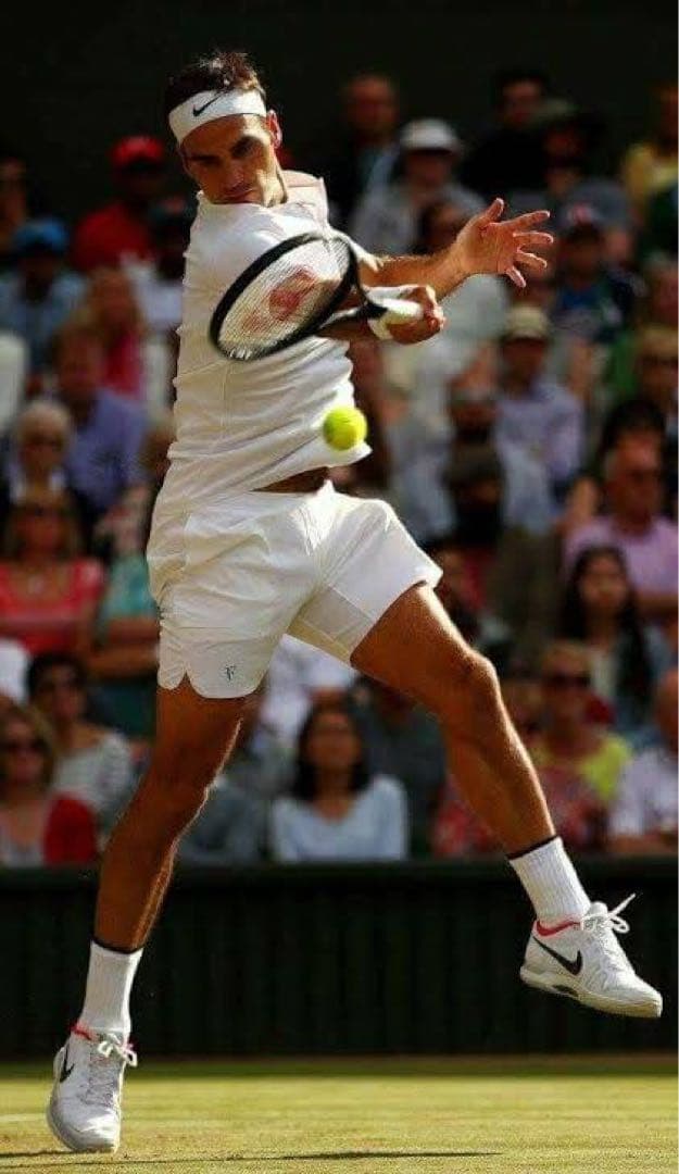 超超超入手困難 NIKE ロジャー・フェデラーモデル アドバンテー