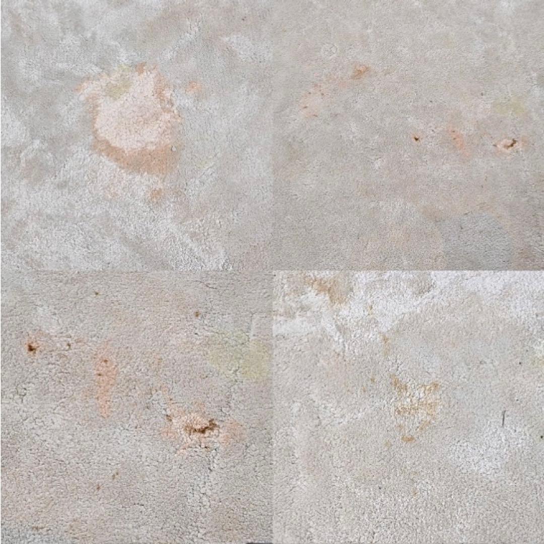 引取り限定Minotti 107万DIBBET ドルドーニ ラグ