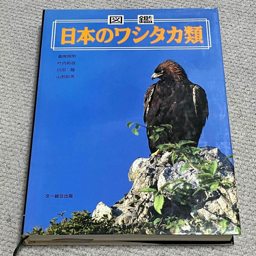 図鑑　日本のワシタカ類