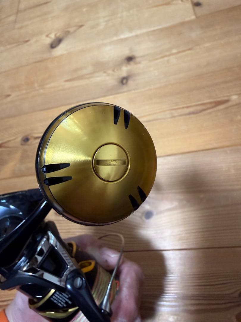 シマノ　19ステラSW4000xg