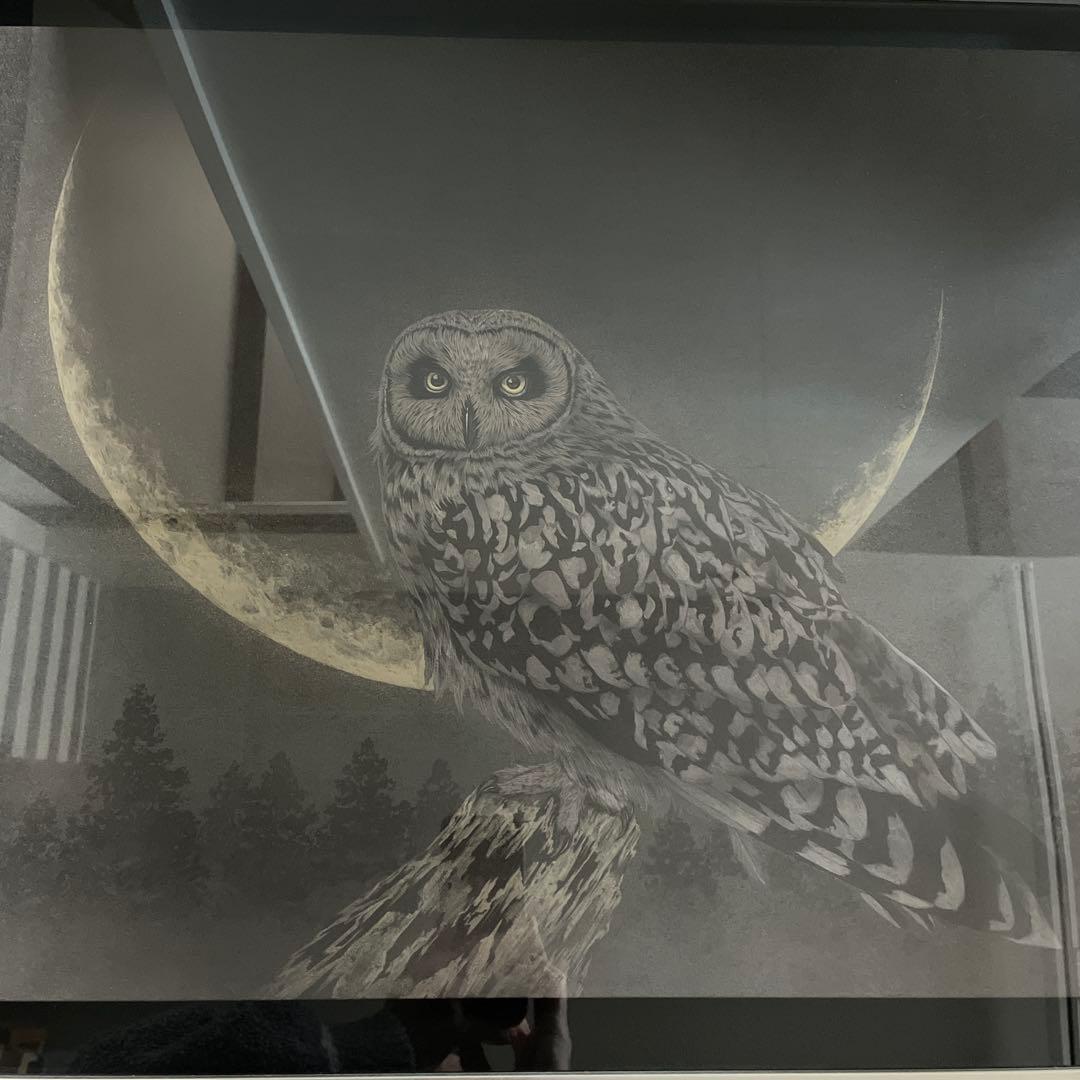 金澤隆 日本画 夜の帳 フクロウ インテリア 額縁 絵画