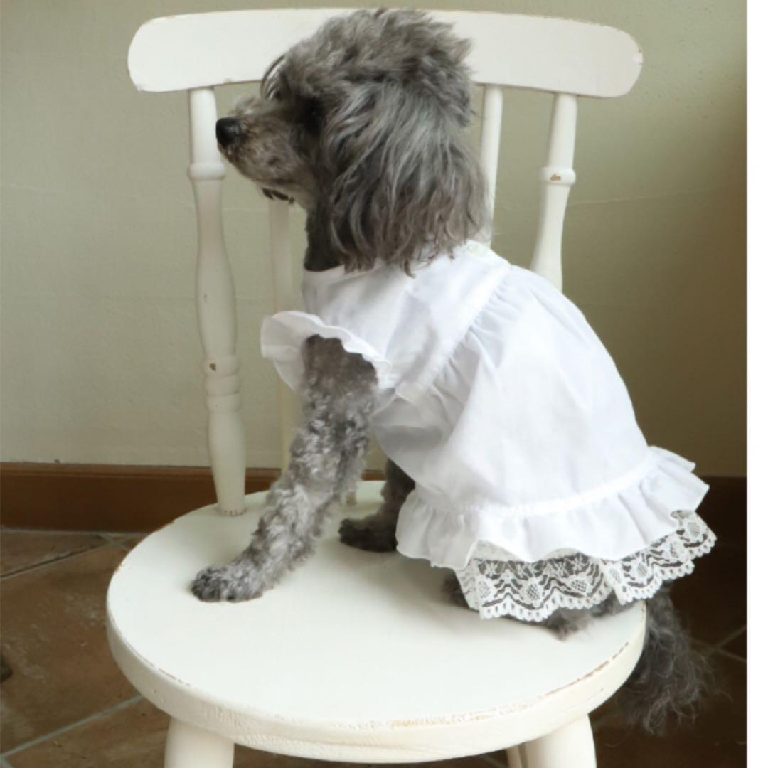 アトリエGG シンシアキャミソール