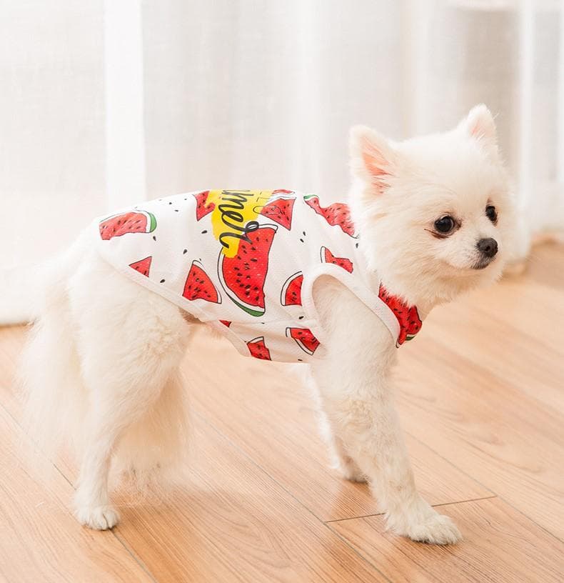 4XLスイカ柄タンクトップ トップスシャツ 夏 犬の服 大型犬 わんこ服ドッグ服