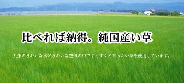 新品＊純国産 ＊い草花ござカーペット＊江戸間２帖１７４×１７４センチ＊両面使用可