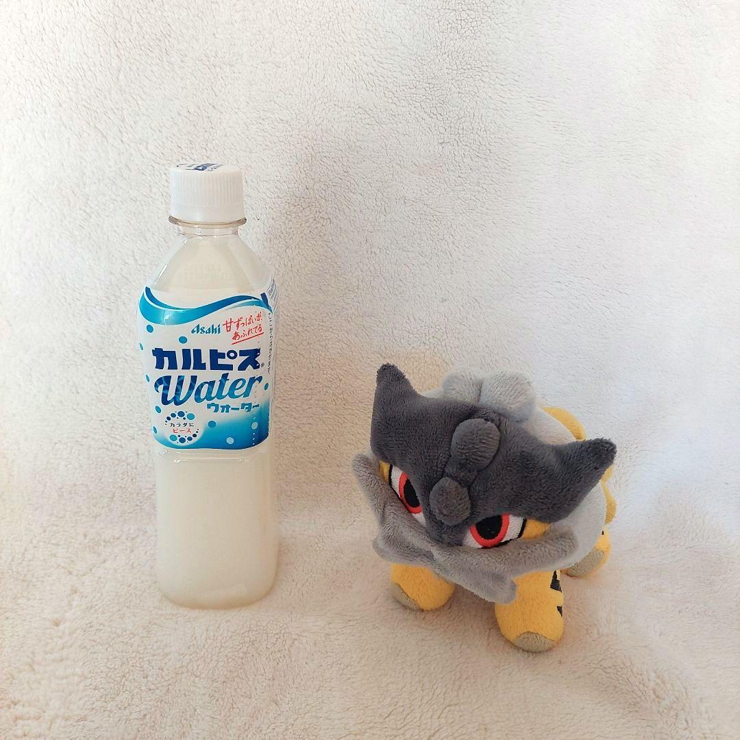 ポケドール 色違い ライコウドール ポケモンセンター 限定 レア