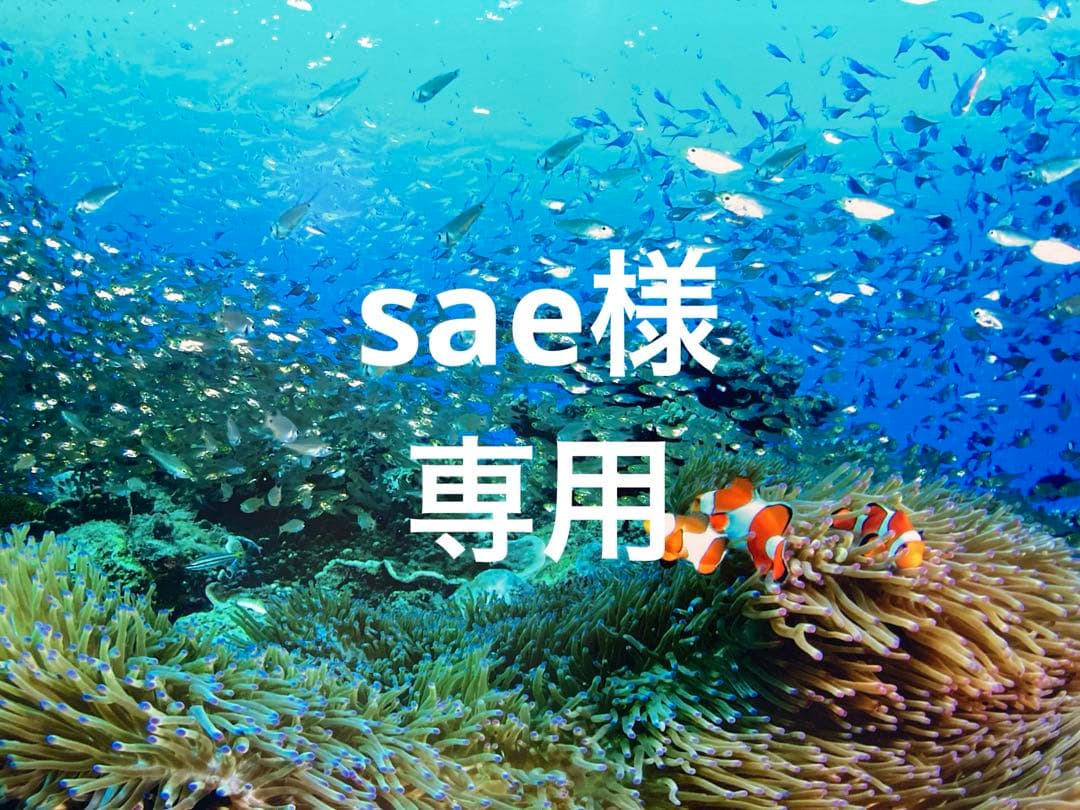 エンビロンCクエンスセラム4 プラス