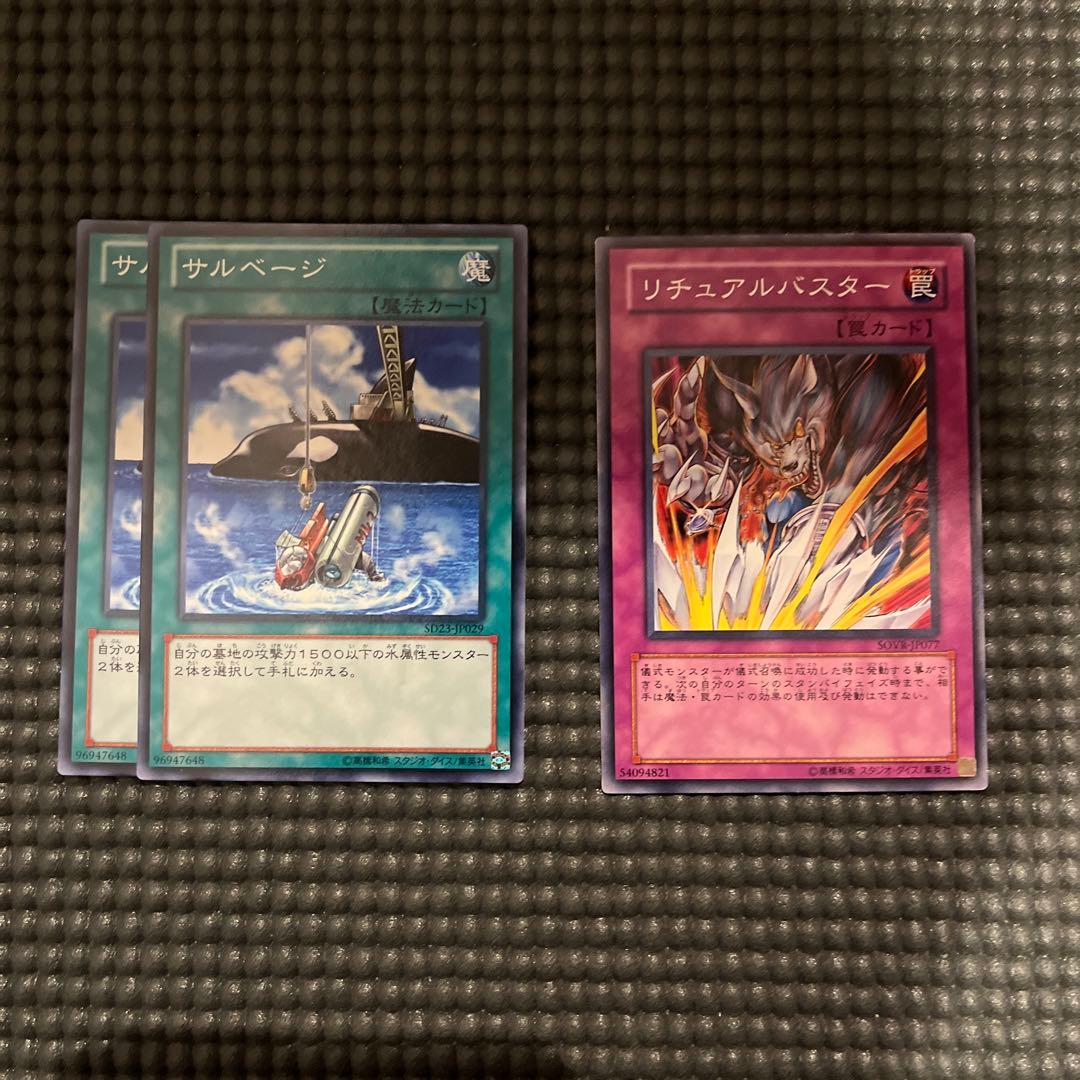 み*〜様 遊戯王　リチュア　デッキパーツ