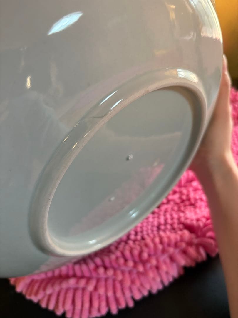 鯉の滝登り　皿　飾り皿