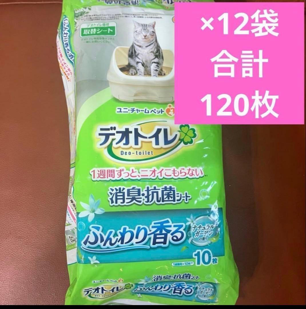樹齢千年　ふんわり香る 10枚入り×16袋　合計160枚