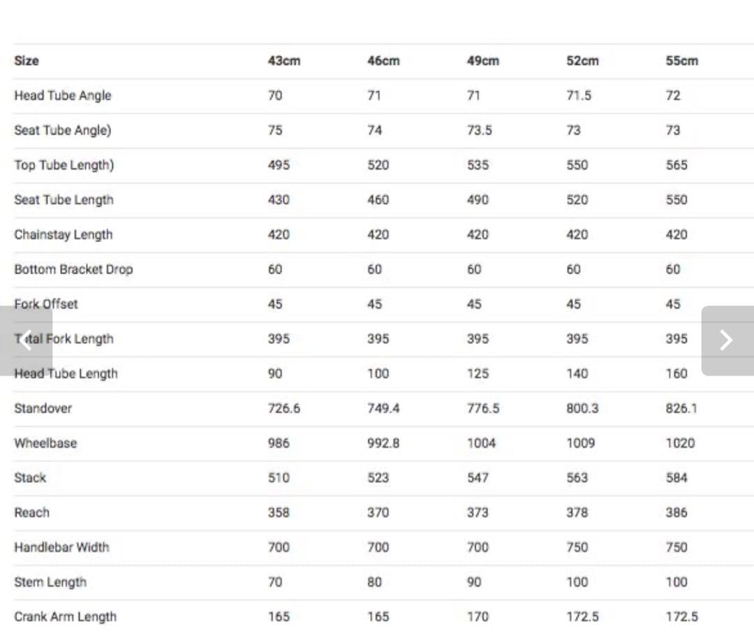 フレーム　オールシティ　スーパープロフェショナル【55サイズ】